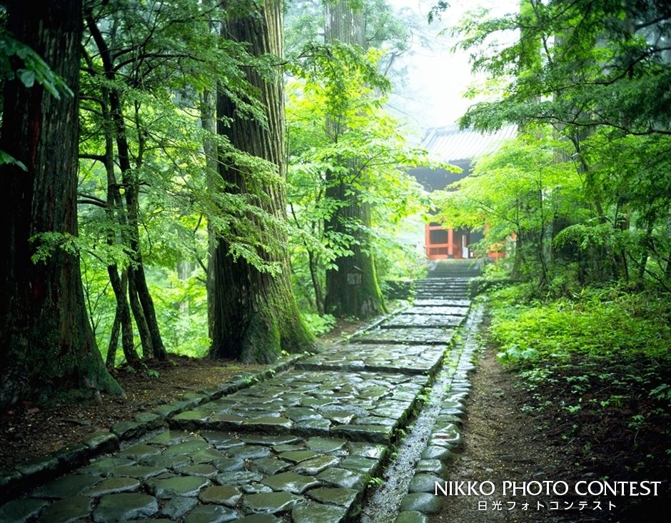 世界遺産登録記念フォトコンテスト [入選] 雨上がりの滝尾神社