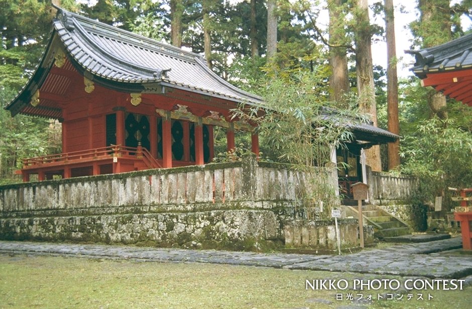 世界遺産登録記念フォトコンテスト [入選] 滝尾神社、縁結びの竹