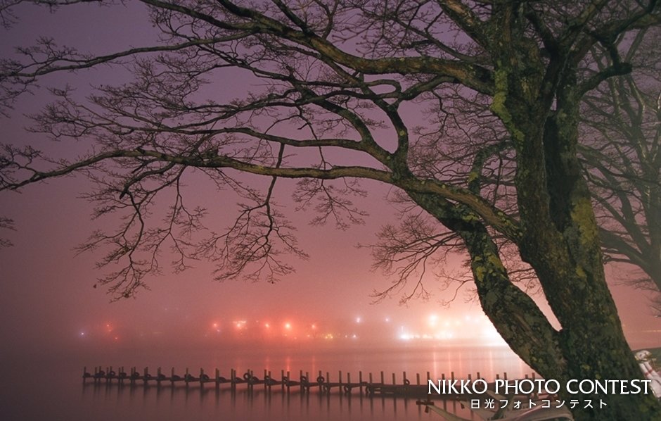 第2回 日光フォトコンテスト [入選] 夜霧の中禅寺湖