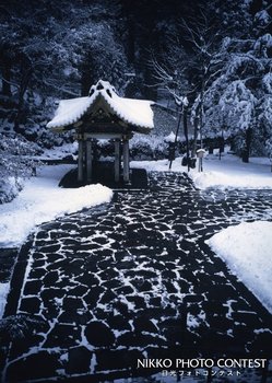 冬の参道