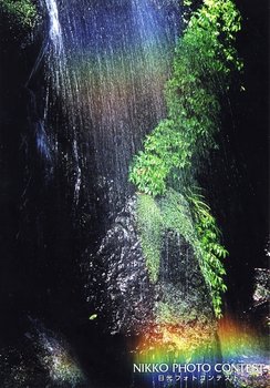 虹のシャワー