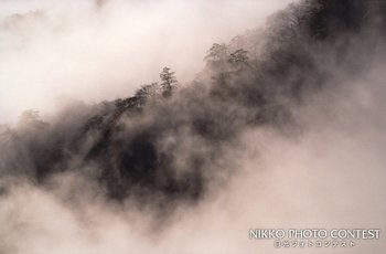 霧渓谷