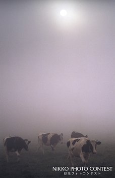 霧の牧場