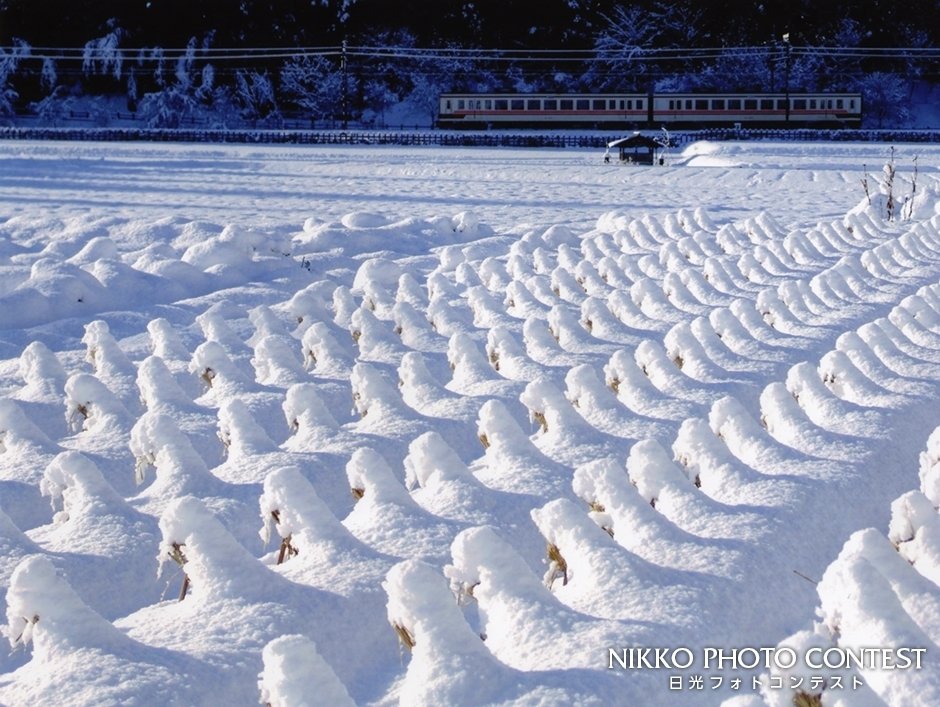 第6回 オアシス今市写真展 [入賞] 雪の日