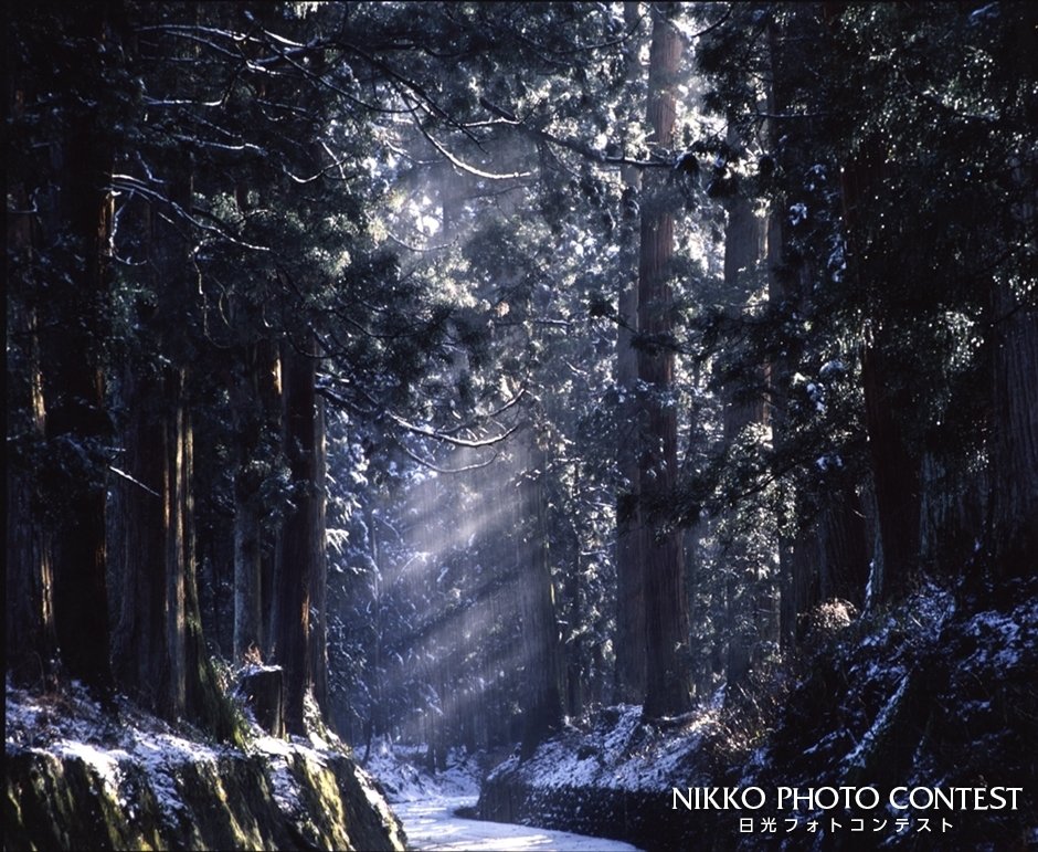 第6回 オアシス今市写真展 [入賞] 雪の杉並木