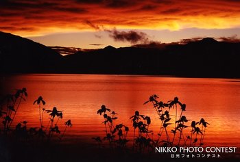 夕焼けの湖