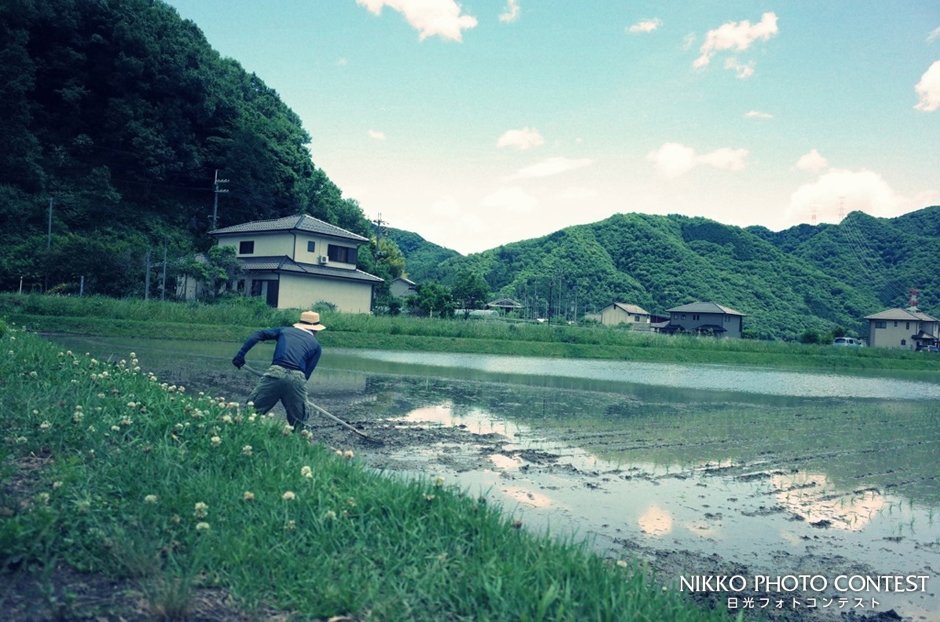 2019 日光フォトコンテスト [奨励賞] シロツメ草が見守る田んぼで